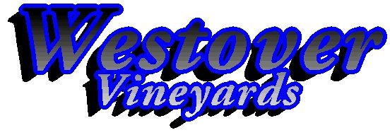 logo.jpg (9070 bytes)